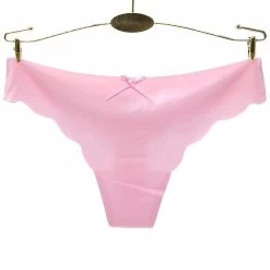 12 X Womens Sheer Spandex / Nylon Briefs - Assorted Underwear Undies 87331 -Madam Clothing Store 6bbf3beae04236ff523534745122fc7c