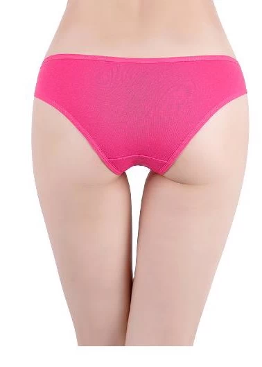 6 X Womens Cotton Lace Boyfront Bikini Briefs - Undies Coloured Underwear Jocks 4 6 X Womens Cotton Lace Boyfront Bikini Briefs - Undies Coloured Underwear Jocks - Image 2