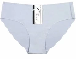 24 X Womens Sheer Nylon / Cotton Briefs - Assorted Underwear Undies 89099 -Madam Clothing Store e4ced81f384675ae25e6998ced9dcc8a